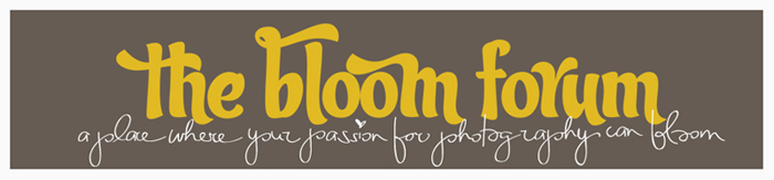 The Bloom Forum